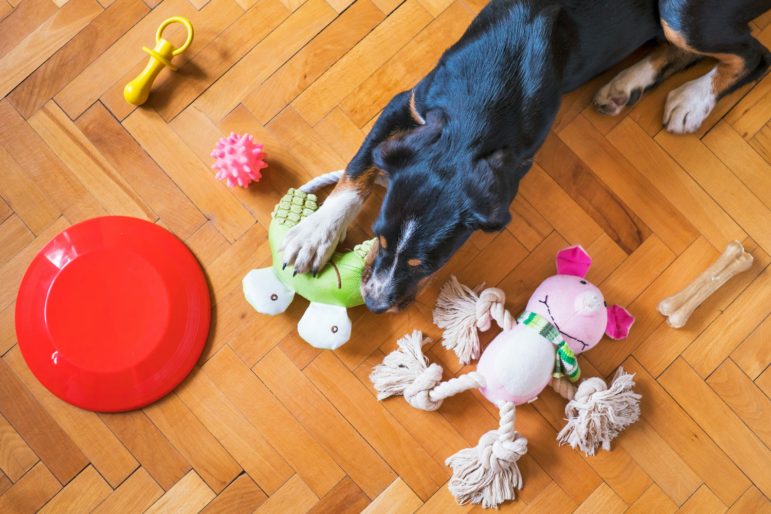 Toys & Play