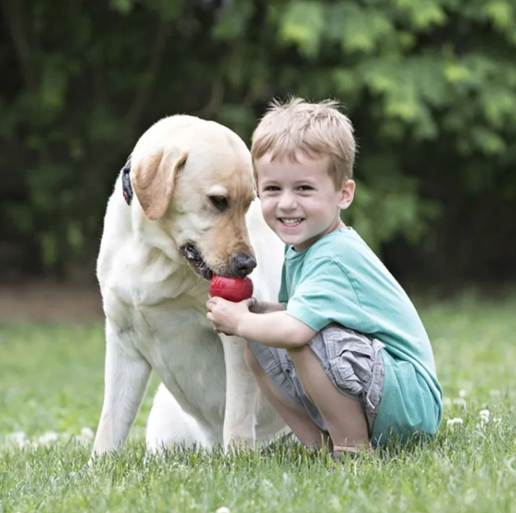 Puppy Teething Toy